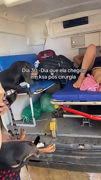 O cão foi recepcionar a tutora na chegada da ambulância.