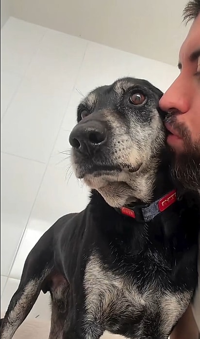 Romeo é um cachorrinho muito amoroso