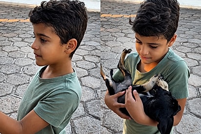 Garotinho se emociona ao ver cachorrinha que ninguém adotou e faz pedido à mãe.