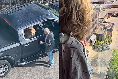 Visita improvisada: tutor leva golden retriever para confortar tutora no pátio do hospital