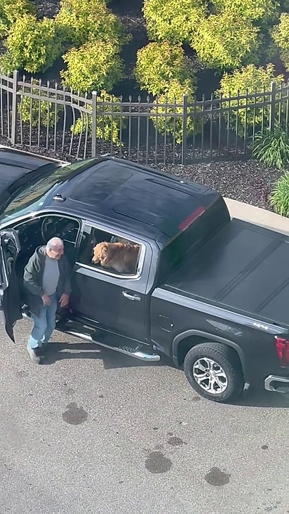 O homem sabia como ajudar na recuperação da esposa.
