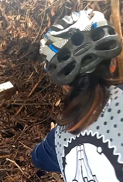 Os ciclistas começaram a afastar os galhos com cuidado, tentando localizar o filhote.