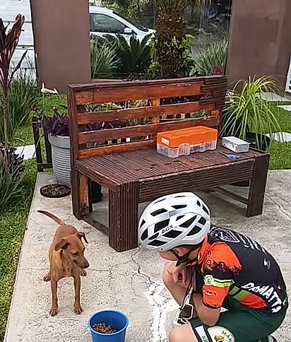 A cachorrinha, já em casa, recebendo comida.