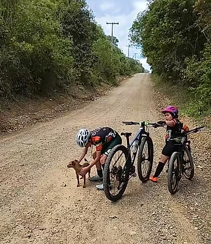 A família encontrou uma cachorrinha abandonada na estrada.