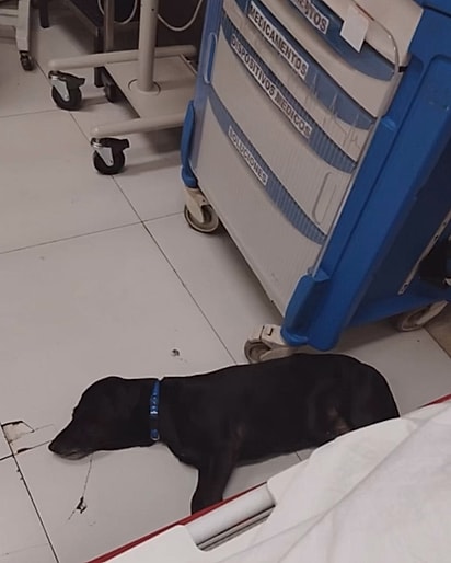Sem ter para onde ir, ele permaneceu no hospital.