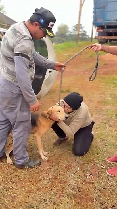Ângela abraçando o cão durante o resgate.