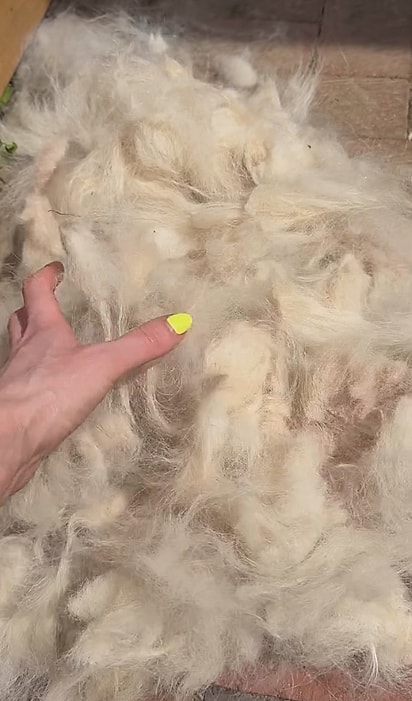 A quantidade de pelos removidos no banho.