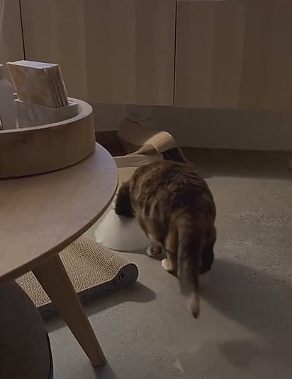 Taylor colocando o cone. 