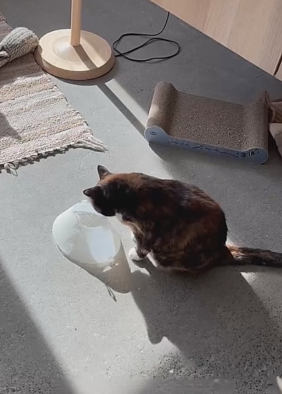Para Taylor, o cone é um objeto de conforto.