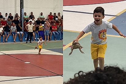 Garotinho surpreendeu a todos ao tirar sapo na maior tranquilidade
