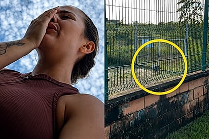 Mulher muda rotina de passeio com seus pets e encontra dois filhotes abandonados que precisavam de ajuda.