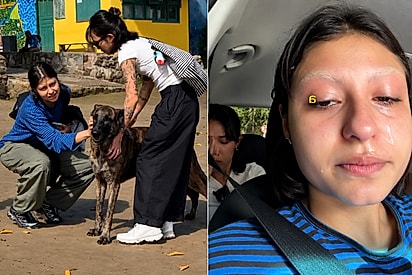 Cão “adota” grupo de amigas em Caraíva, acompanha todos os passeios e despedida termina em lágrimas.