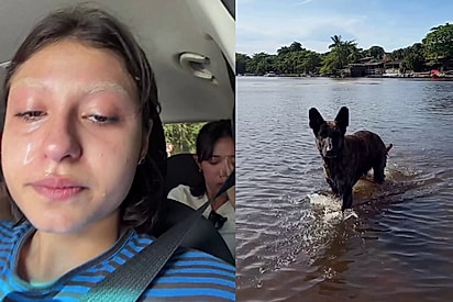 Cão “adota” grupo de amigas em Caraíva, acompanha todos os passeios e despedida termina em lágrimas.