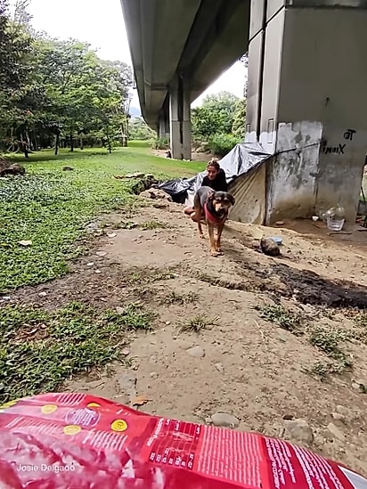 Josie levou alimento e mais alguns itens.