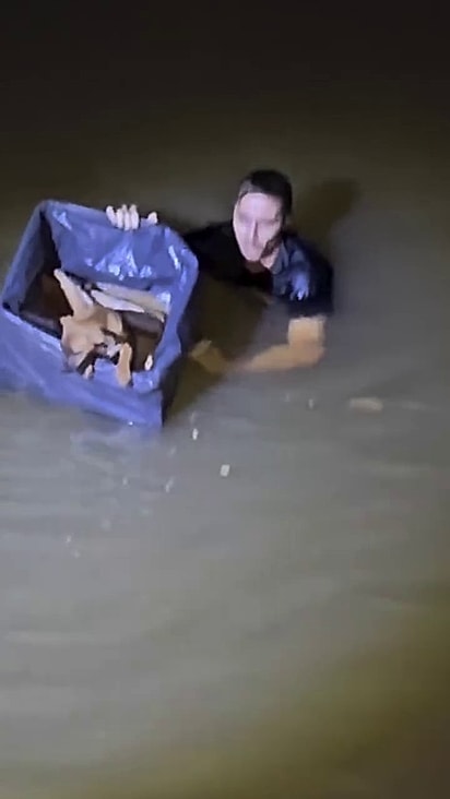 A cachorrinha estava na beira do rio dentro de uma caixa.