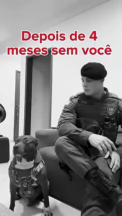 O tutor se preparou para a despedida.