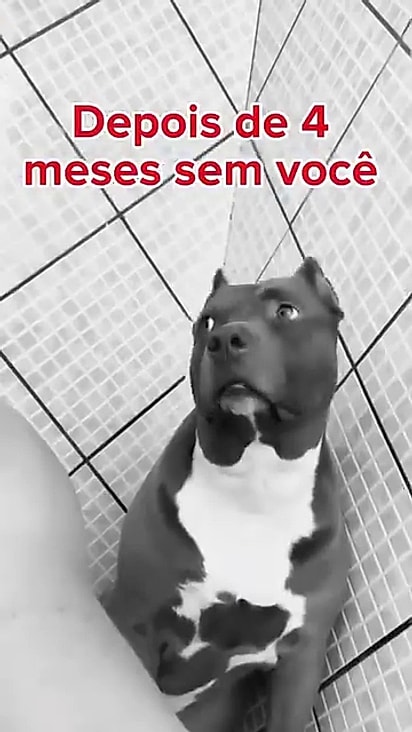 Eles ficaram afastados por quatro meses.