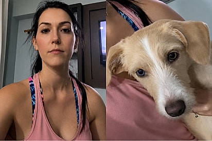 Golden lata: Mulher compra cachorro anunciado como golden retriever e só depois que cresce descobre golpe.