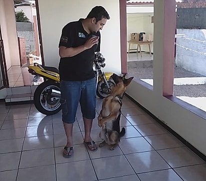 Imagem antiga de André e Hércules.