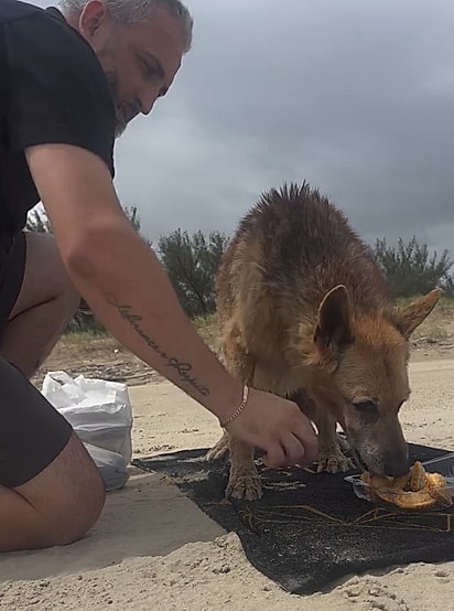 Hércules provou todos os alimentos que tinha vontade e não podia comer.