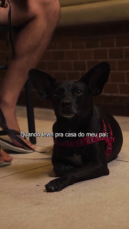 Ela ganhou uma Airtag para não se perder nunca mais.