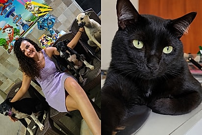 “Caiu no golpe 17 vezes”: mulher transforma lar temporário em família gigante de resgatados.