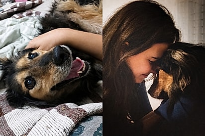 Após diagnóstico difícil, tutora cria lista de desejos para transformar últimos dias de cachorrinha.