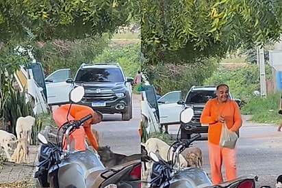 Toda vez que ele passa é assim, coração gigante: Gari é flagrado ajudando cães de rua e cena viraliza