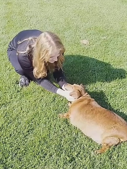 Tegan assumiu os cuidados com a cadela. 