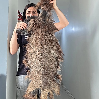 O excesso de pelo pesava dois quilos.