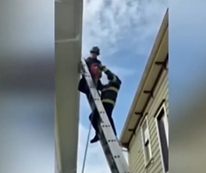 Os bombeiros resgataram o corvo.