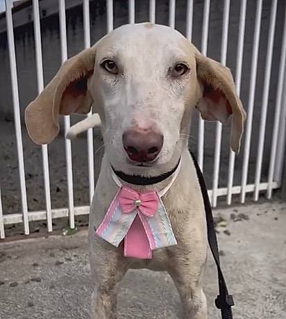 Laila está em Criciúma, Santa Catarina. 