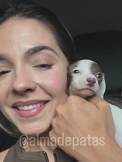 Iza, voluntária no projeto Alma de Patas, apresentando o filhote.