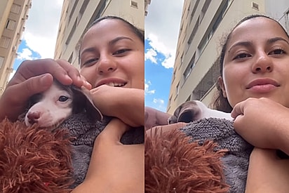 Cachorro sem as patas dianteiras é visto por grupo de crianças e tutora fica sem reação após pergunta desconcertante