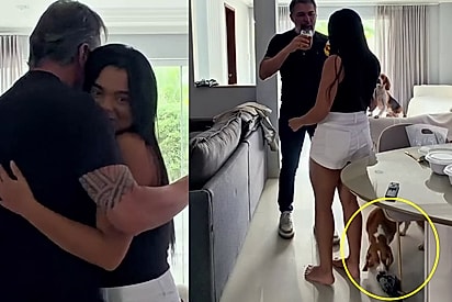 Cachorro tenta denunciar arte do irmão, enquanto pet desfila com pomba entre as pernas dos tutores.