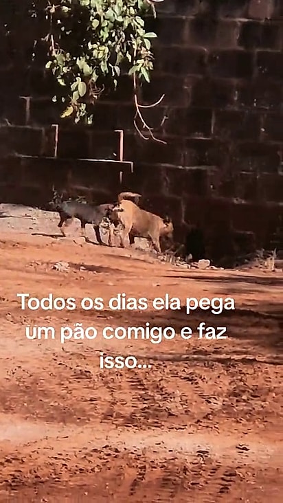 A família vive próximo a uma obra.