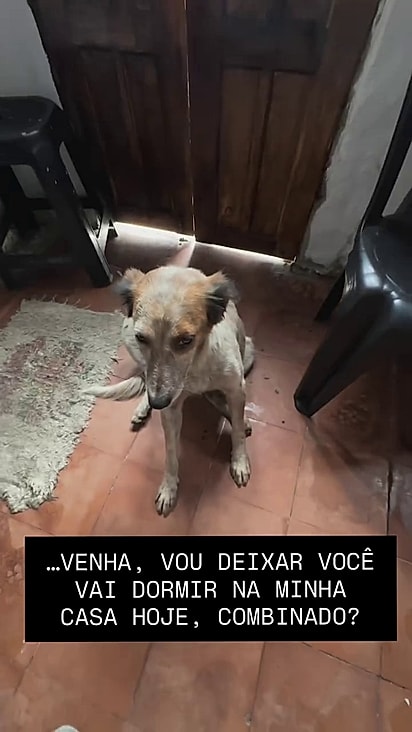 O acolhimento chegou na hora certa.