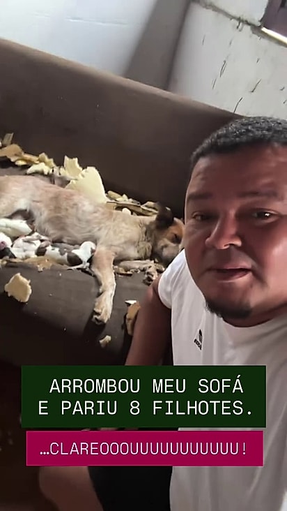 A expectativa é castrá-la ainda neste mês de junho.