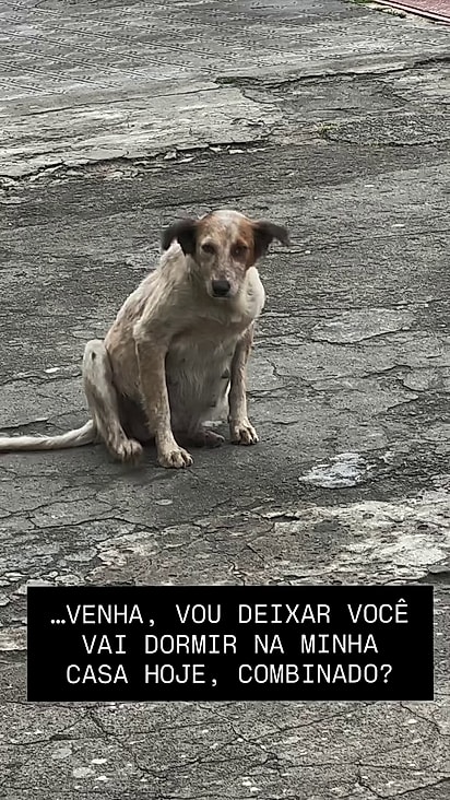 Perereca estava prestes a dar à luz nas ruas.
