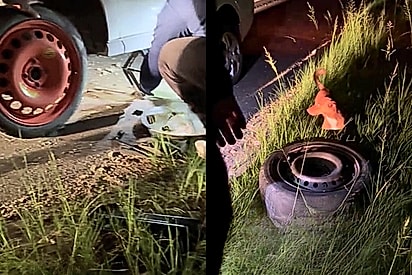 Família para carro em estrada escura após o pneu furar - quando olha para o lado, dá de cara com alguém pedindo ajuda