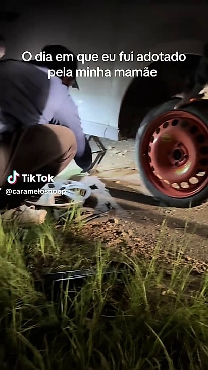 O casal encontrou o cão ao trocar o pneu do carro.