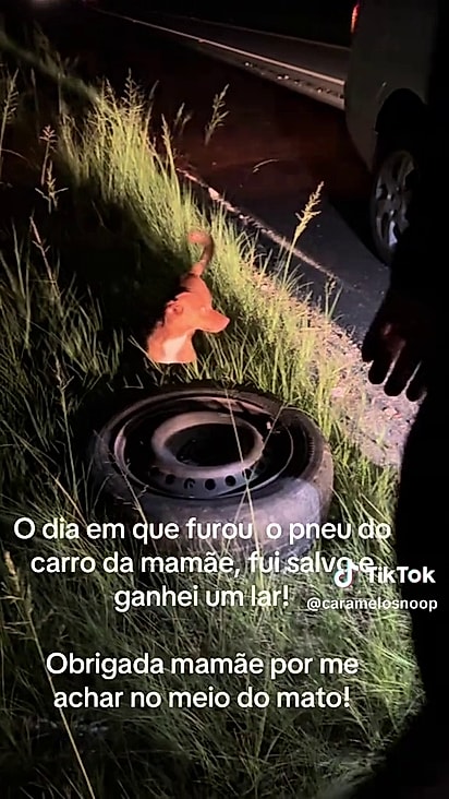 Snoop foi adotado pelo casal.
