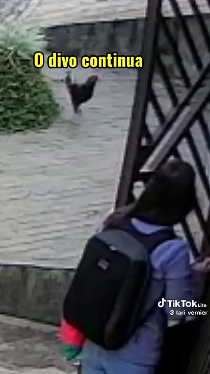 Larissa precisou retornar para dentro de casa.