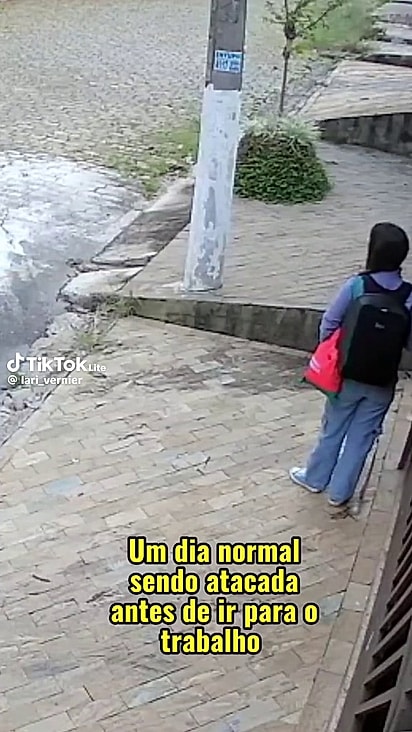 O galo pertence a um morador da vizinhança.