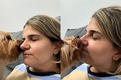 Idosinho ajuda sua dona a superar momentos dificeis