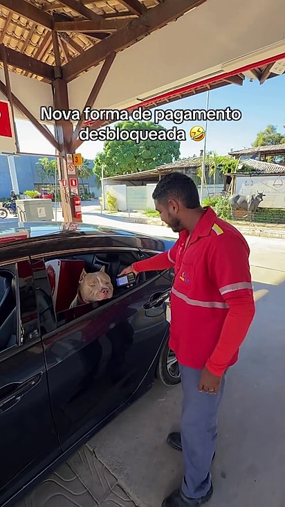 Alguns frentistas não demonstraram medo.