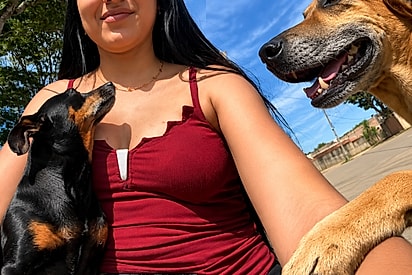 Vamos cuidar dela, ela tá tristinha: Mulher que não estava tendo um dia bom resolve sentar na praça e ganha a companhia de anjinhos