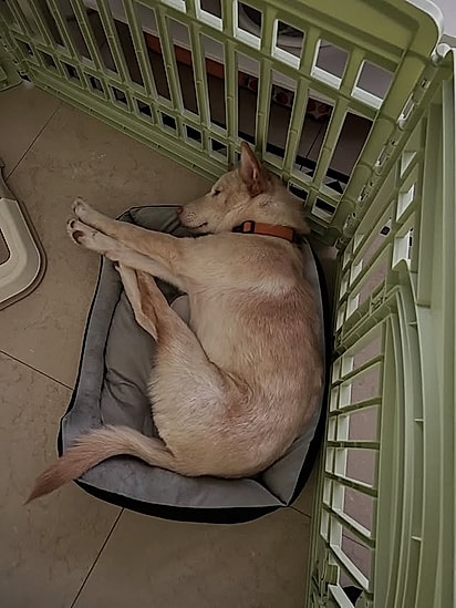 Buffy de perfil para os seguidores do Insta