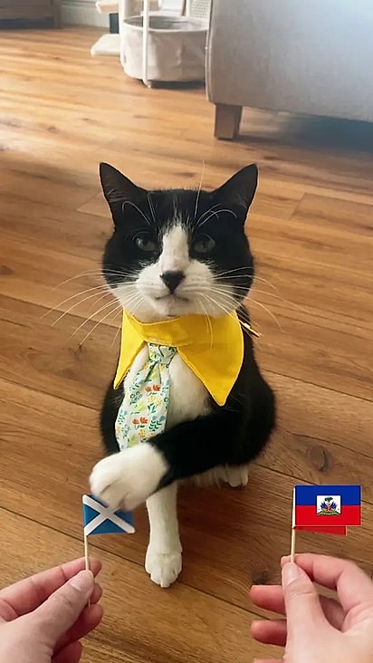 Billy ainda não errou nenhum time vencedor.