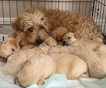 Depois do abandono, essa família ganhou a chance de recomeçar.